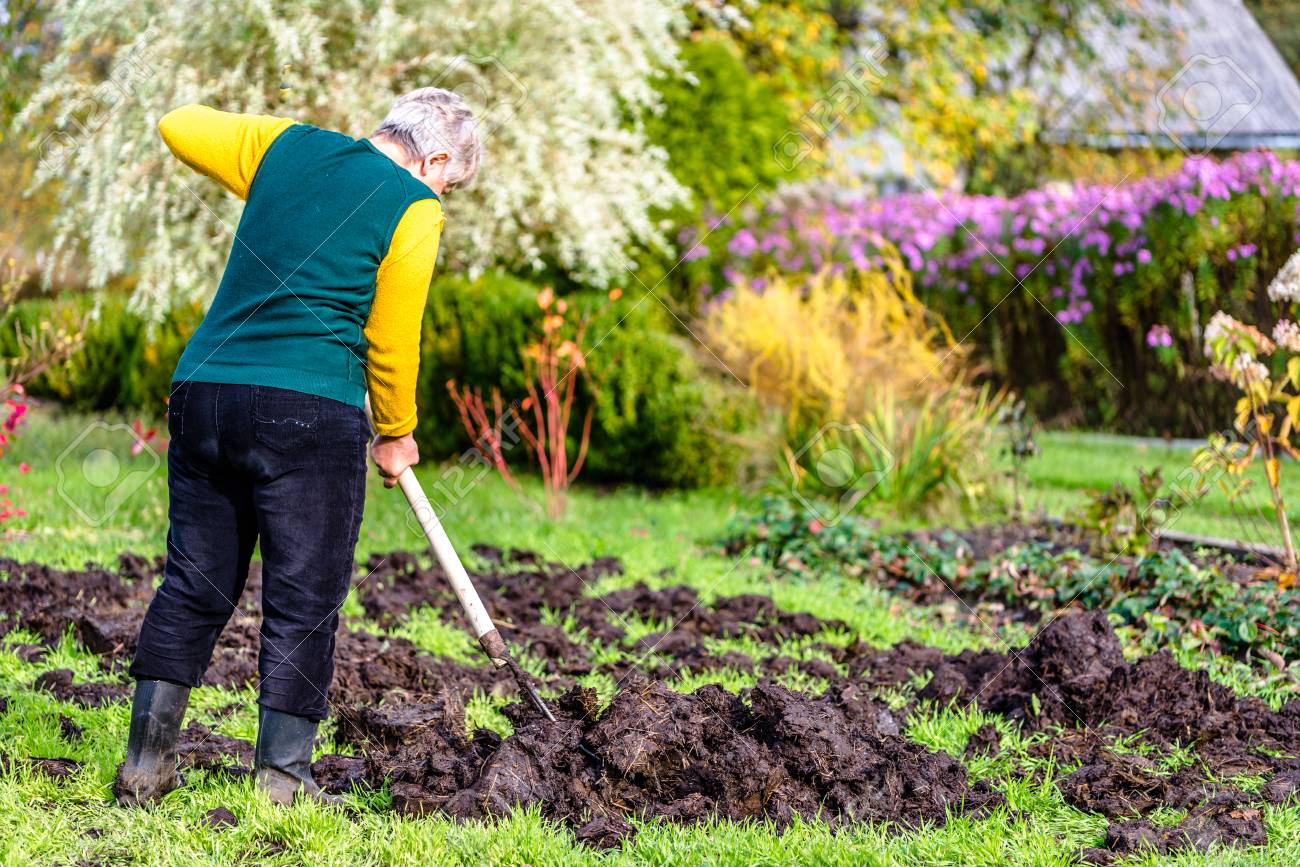 He works in the garden